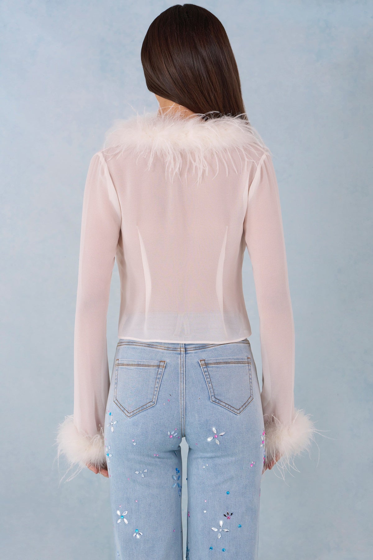 Feather Trim Sheer Top in Ivory