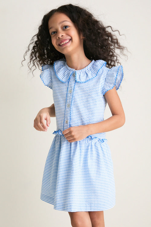 Blue Gingham Fabiola Drop Waist Dress