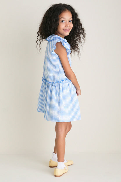 Blue Gingham Fabiola Drop Waist Dress