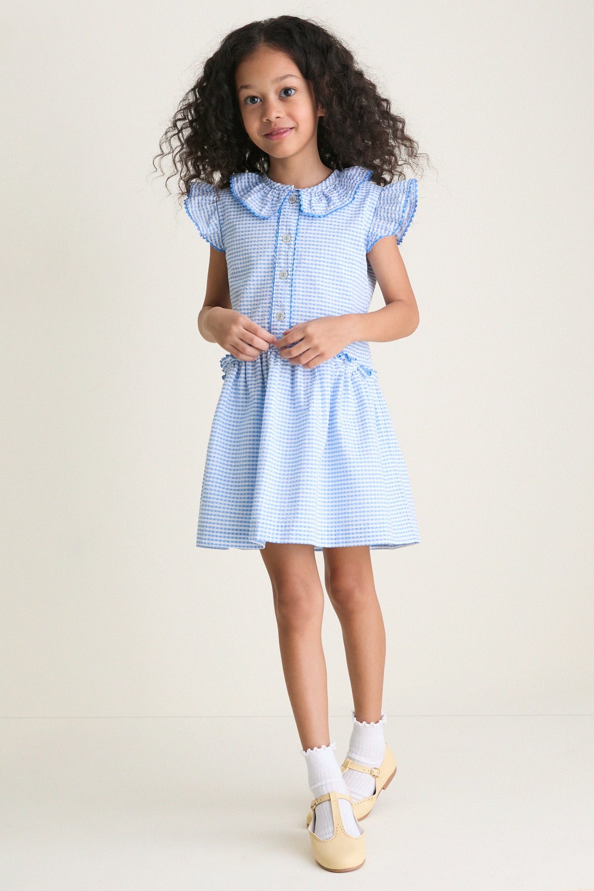 Blue Gingham Fabiola Drop Waist Dress