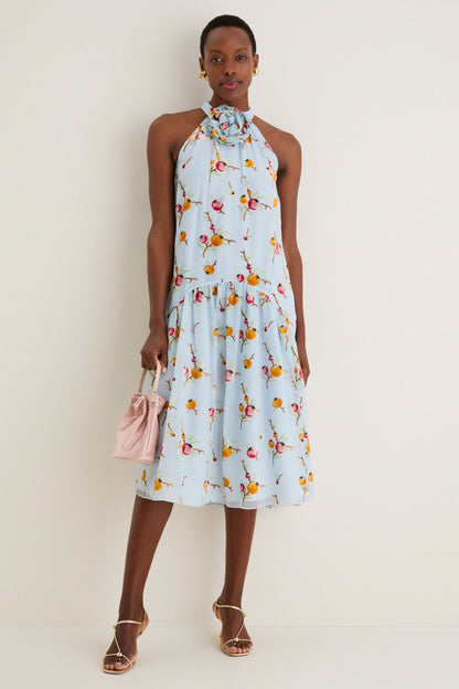 Blue Freya Print Tank Dress