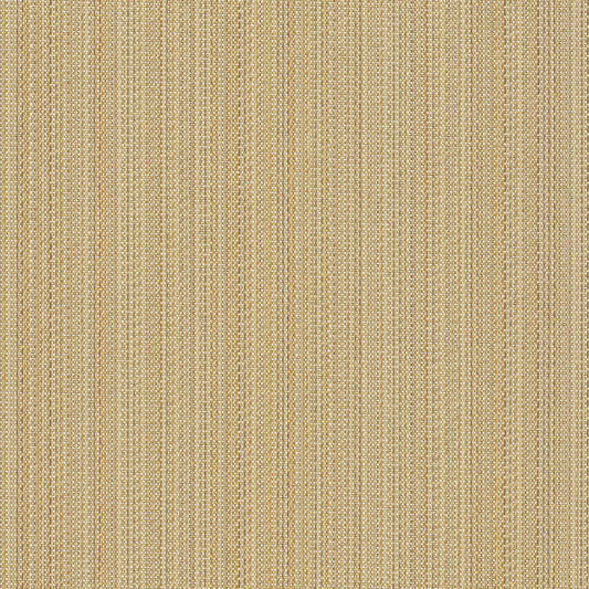 Beeline - Dash - 1015 - 06