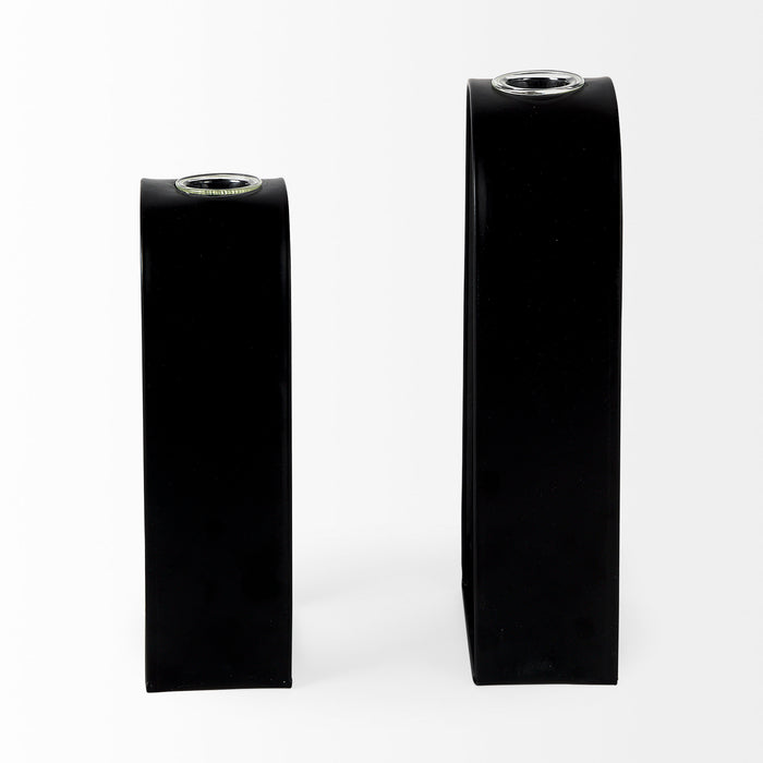 Boyer 5.1L x 3.0W x 12.0H Black Metal W/Glass Set of Two Test Tube Decorative Objects