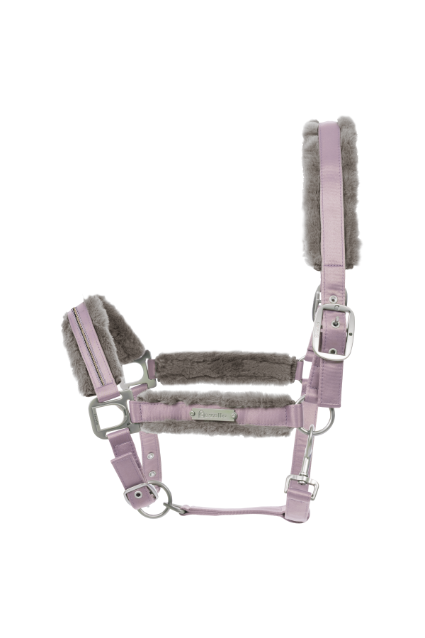 Cavallo Powdered Lilac