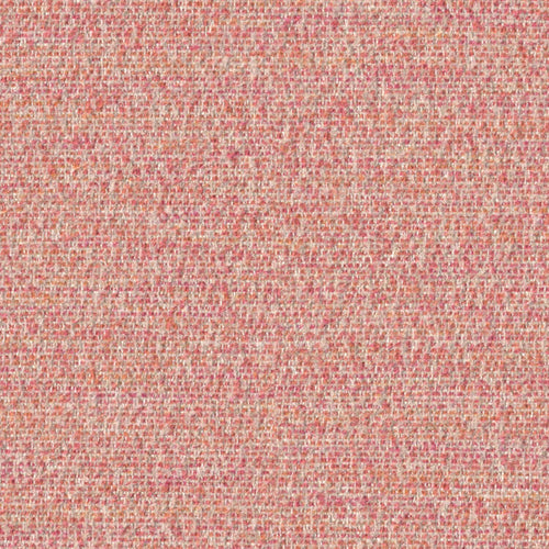 Cognition - Muse - 4130 - 05