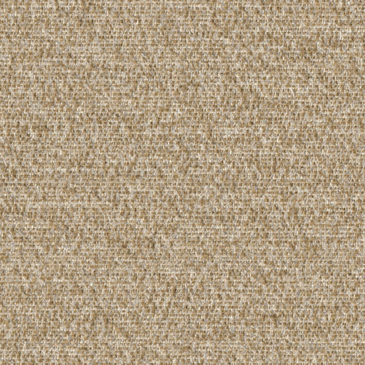 Cognition - Ruminate - 4130 - 03