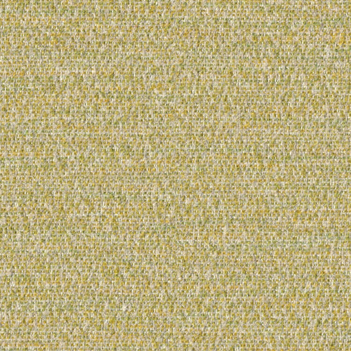 Cognition - Sapient - 4130 - 07