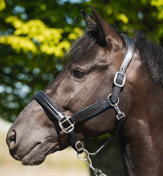 Glitty Halter - Black