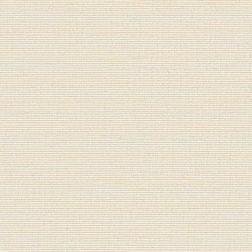 Impasto - Eggshell - 7021 - 05