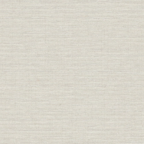 Impasto - Gesso - 7021 - 04 - Half Yard