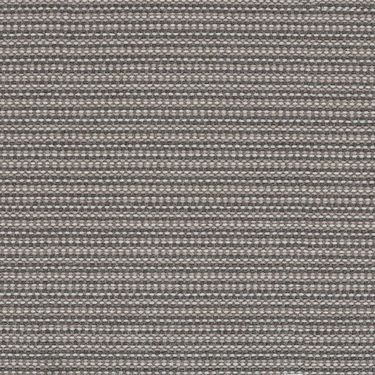 Megapixel - Barnacle - 4097 - 12