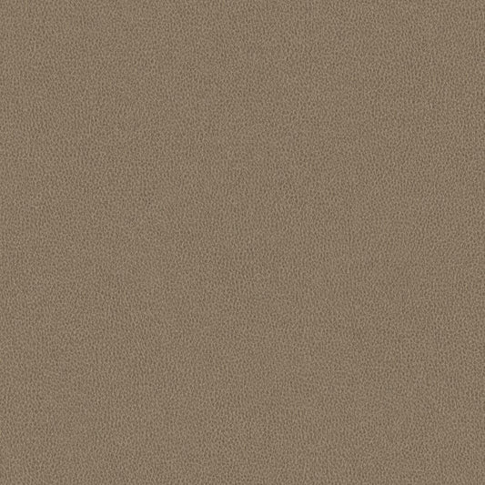 Nomad - Barn Owl - 4149 - 03 - Half Yard