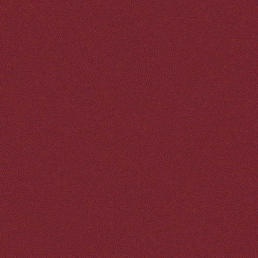 Nomad - Beet - 4149 - 19