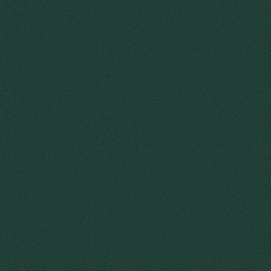 Nomad - Topaz - 4149 - 10