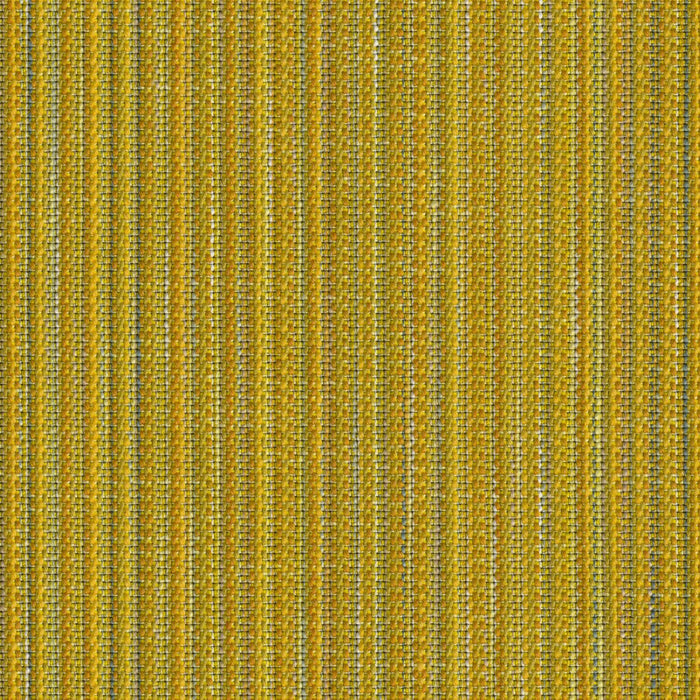 Reed Tones - Dandelion - 4151 - 02