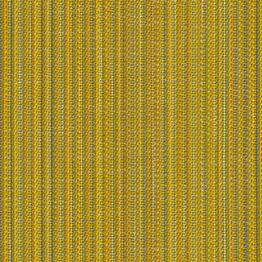Reed Tones - Dandelion - 4151 - 02