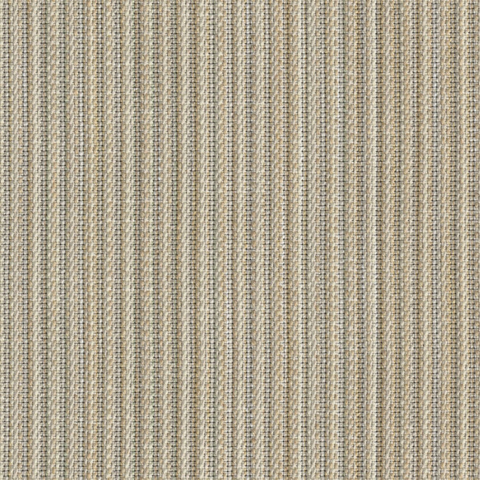 Reed Tones - Papyrus - 4151 - 01 - Half Yard