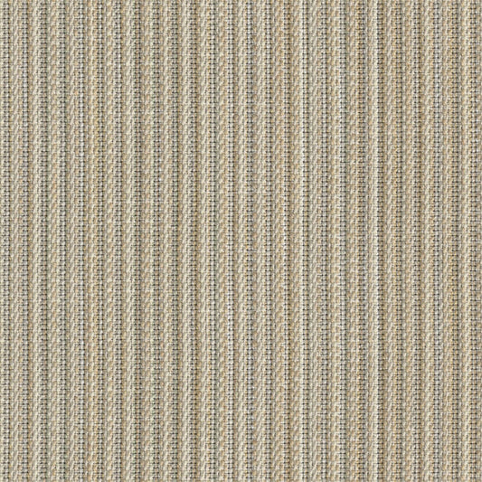 Reed Tones - Papyrus - 4151 - 01