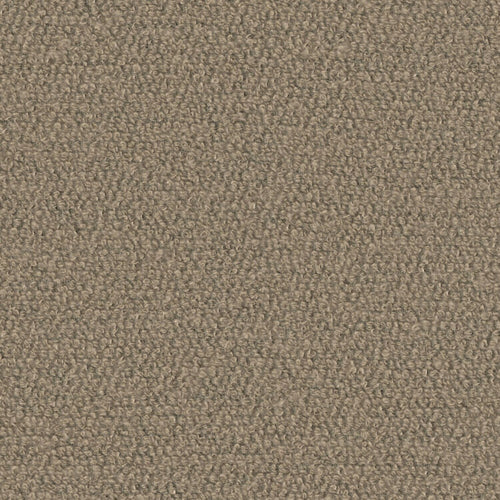 Super Shearling - Earth Tincture - 4119 - 05 - Half Yard