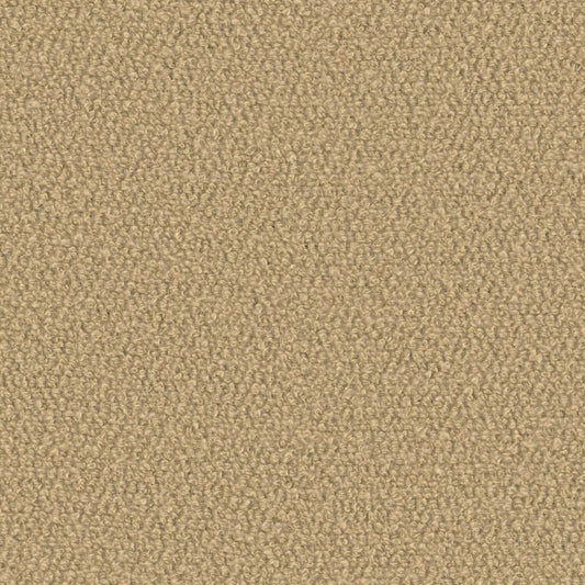 Super Shearling - Petitgrain - 4119 - 06
